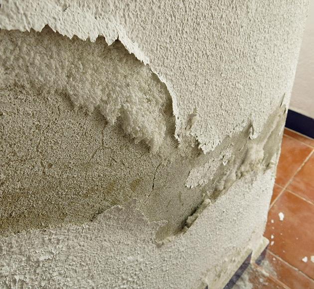 Traitement mur humide